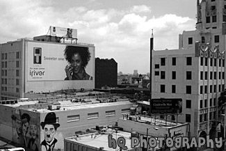 Hollywood, California Buildings black and white picture