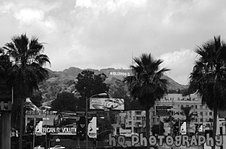 Hollywood Sign from Babylon Court black and white picture