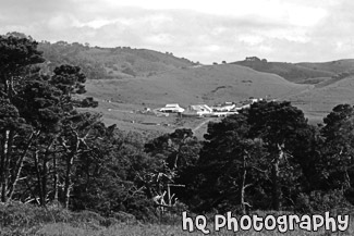 Farm in Marin County, California black and white picture