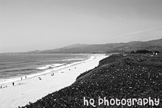 Half Moon Bay Coast black and white picture