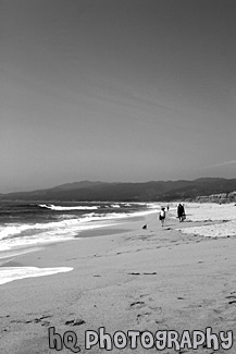 Beach at Half Moon Bay black and white picture