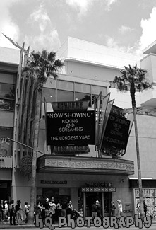 Grauman's Chinese Theatre, Hollywood black and white picture