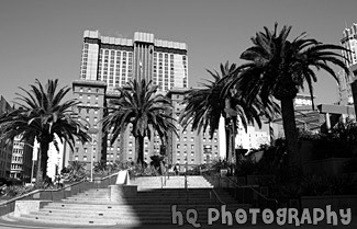 Union Square, San Francisco black and white picture