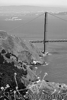 Alcatraz & Golden Gate Bridge black and white picture