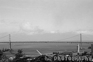 Bay Bridge & Ferry Building black and white picture