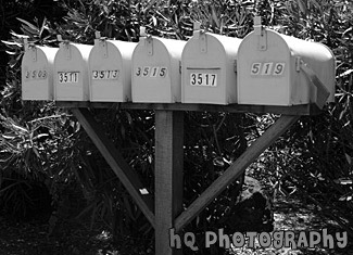 Mailboxes black and white picture