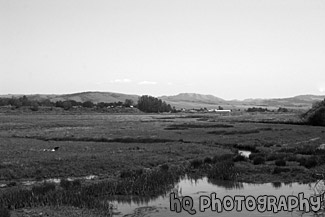 Point Reyes, Marin County black and white picture