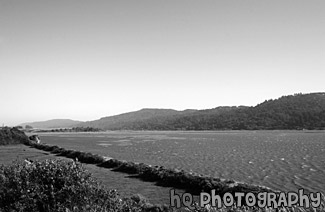 Tomales Bay, California black and white picture