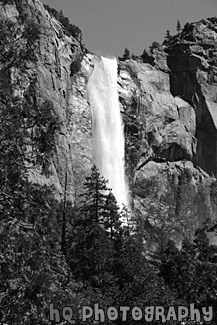 Bridalveil Fall Scene black and white picture