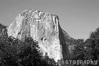 El Capitan, Yosemite National Park black and white picture