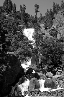 Cascade Falls, Yosemite Valley black and white picture