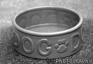 Dog Dish Bowl black and white picture