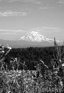 Mt. Rainier from Bonney Lake black and white picture