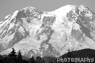 Close Up of Mt. Rainier black and white picture