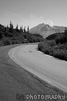 Road to Mount St. Helens black and white picture