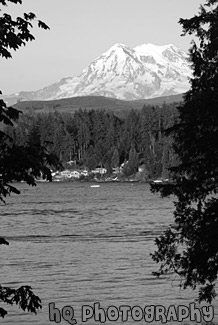 Mt. Rainier Through Trees & Lake black and white picture