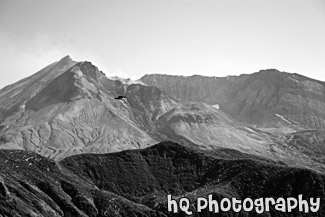 Mount St. Helens & Bird black and white picture