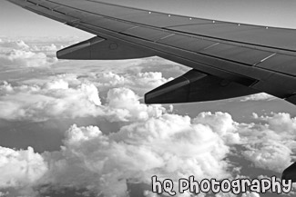 Airplane's Wing black and white picture