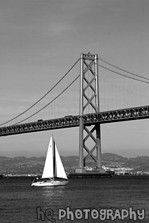 Bay Bridge & Sailboat black and white picture