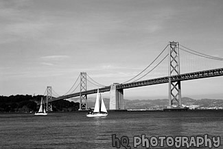 Full View of Bay Bridge & Sailboats black and white picture