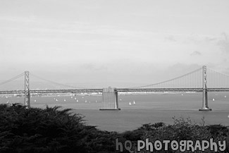 Bay Bridge from Coit Tower black and white picture