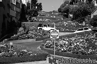 Lombard Street black and white picture