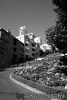 Crooked Lombard Street black and white picture