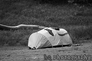 Yellow Tent black and white picture