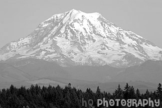 Mt. Rainier North Side Close Up black and white picture