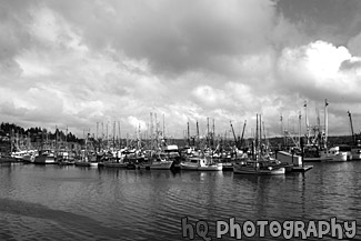 Sailboats of Newport, Oregon black and white picture