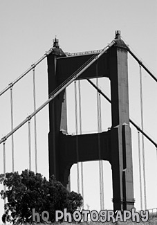 Tip of Golden Gate Bridge black and white picture