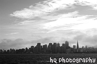 San Francisco from Treasure Island black and white picture