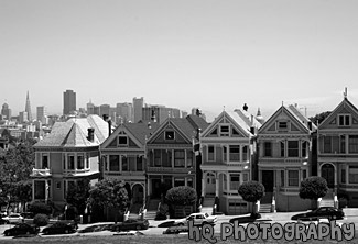 Alamo Park Victorian Houses black and white picture