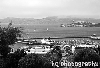 San Francisco Bay black and white picture