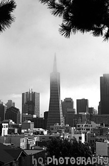 San Francisco & Transamerica Pyramid black and white picture