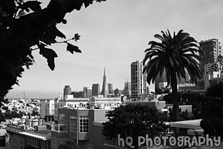 Scenic Downtown San Francisco black and white picture