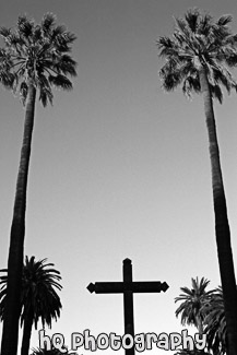 Cross & Two Tall Palm Trees black and white picture