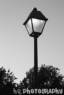 Light Lit Up black and white picture