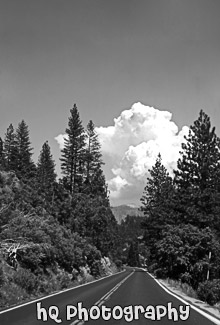 Road in Yosemite National Park black and white picture