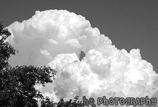 Big White Puffy Cloud black and white picture