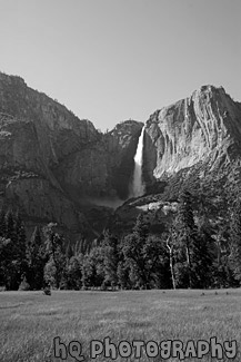 Yosemite Falls & Grass Field black and white picture