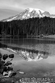 Mt. Rainier Reflection & Rocks in Reflection Lakes black and white picture