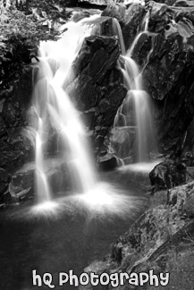 Paradise River Falls black and white picture