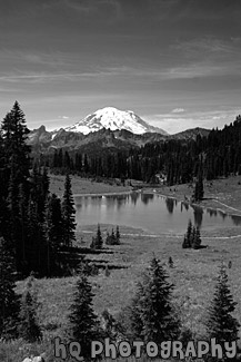 Mount Rainier at Tipsoo Lake black and white picture