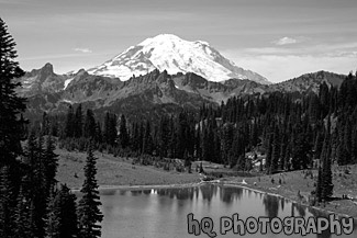 Mount Rainier & Tipsoo Lake in Summer black and white picture