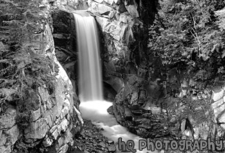 Christine Falls, Cotton Candy Effect black and white picture