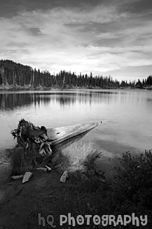 Log & Reflection Lake black and white picture