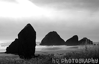 Oregon Coast Big Rocks black and white picture