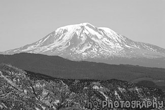 Mount Adams, Washington black and white picture