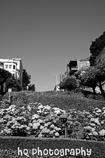 Lombard Street Close Up black and white picture